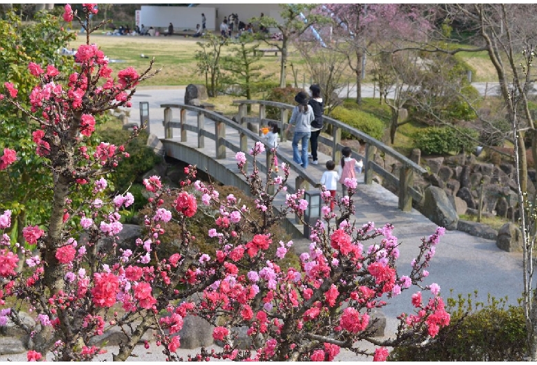 冠山総合公園