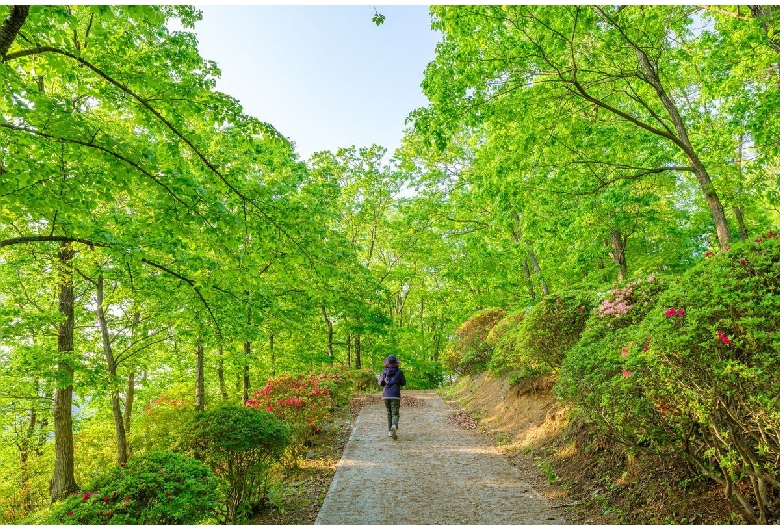 桜山公園