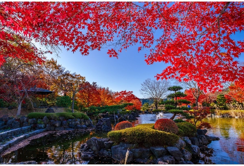 桜山公園