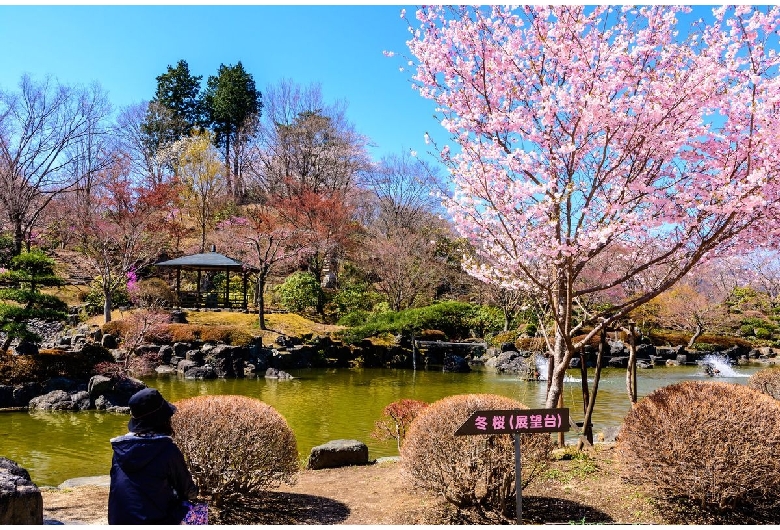 桜山公園