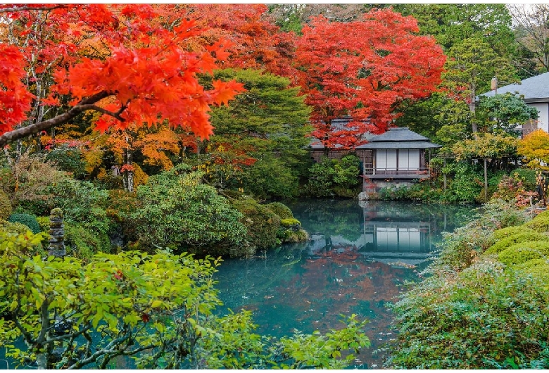 逍遥園