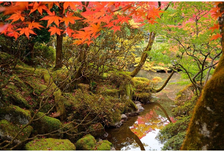 逍遥園