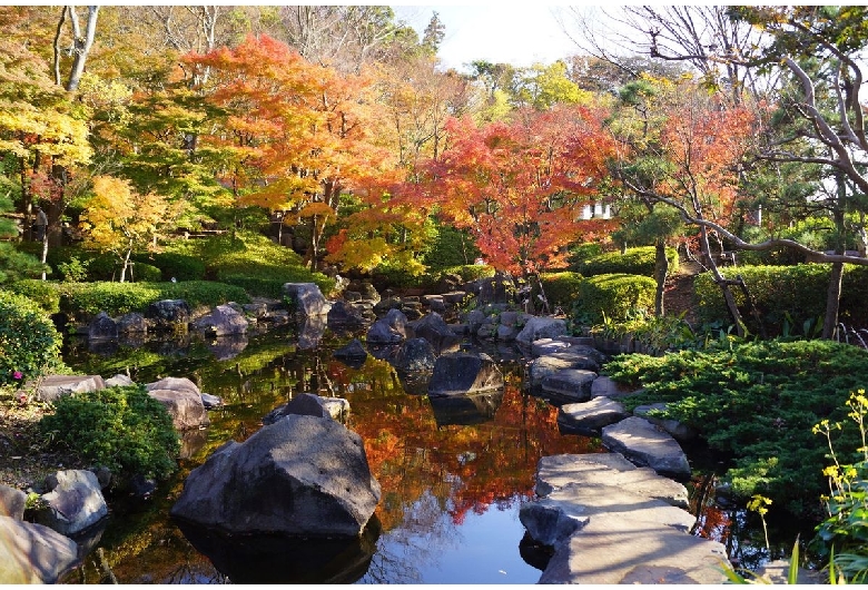 県立大磯城山公園