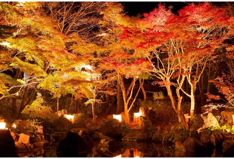 県立大磯城山公園