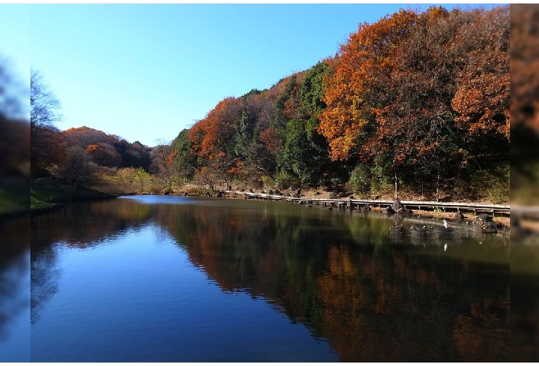 県立四季の森公園