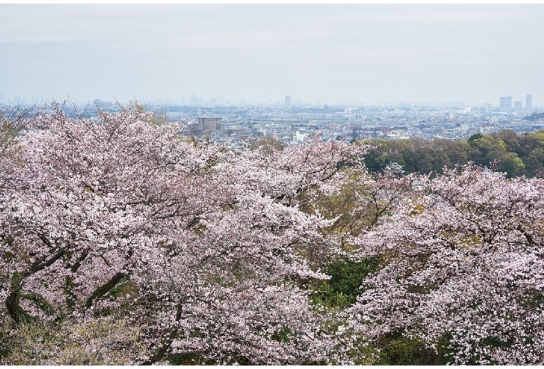 生田緑地