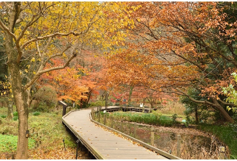 県立東高根森林公園