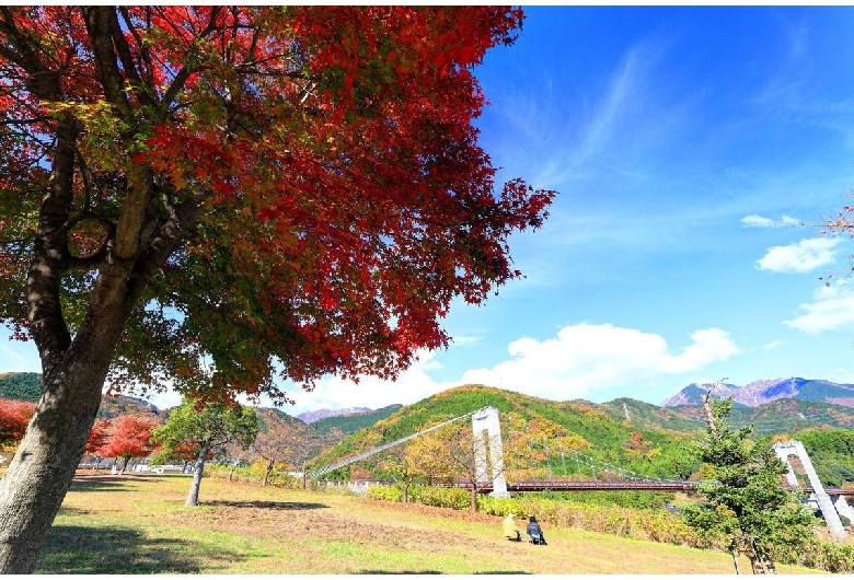 神奈川県立秦野戸川公園