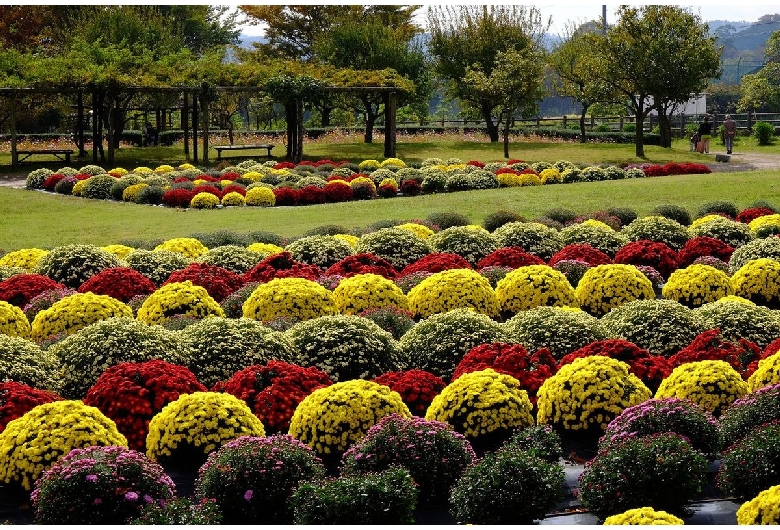 神奈川県立秦野戸川公園