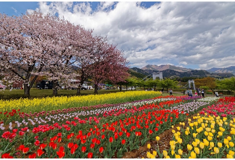 神奈川県立秦野戸川公園