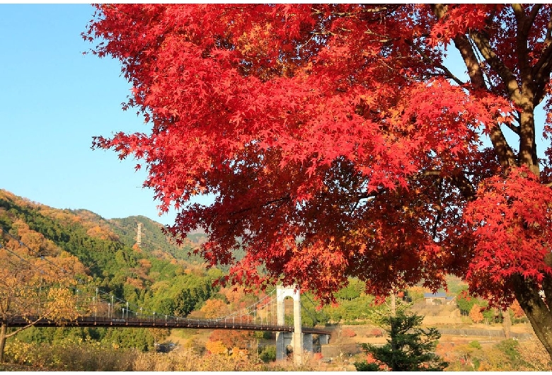 神奈川県立秦野戸川公園