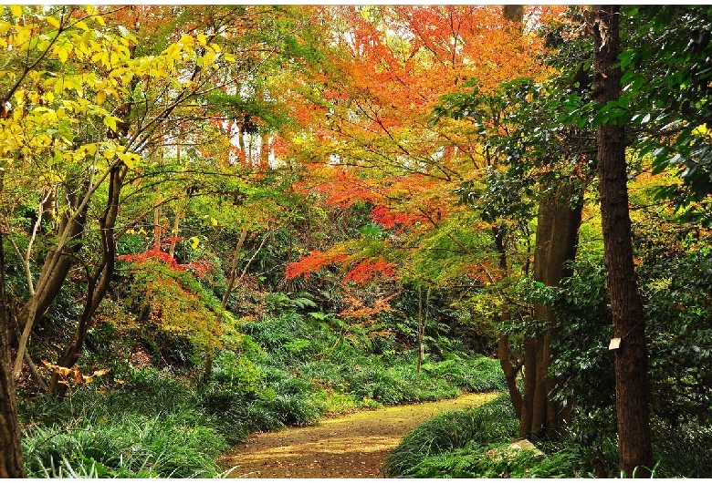 金沢自然公園（金沢動物園）