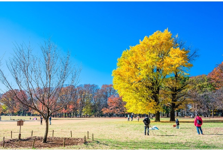 小金井公園