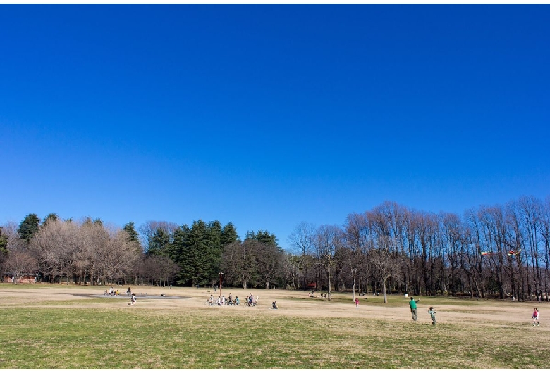 小金井公園