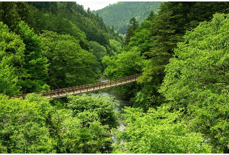 石舟橋（秋川渓谷）