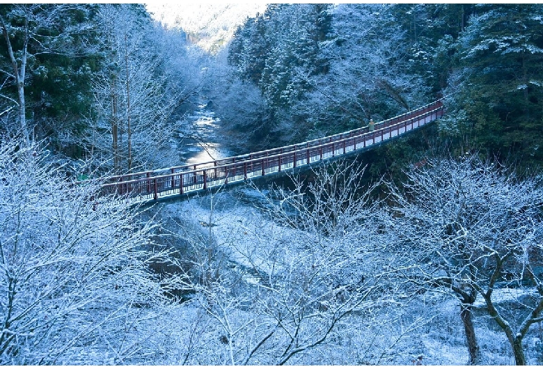 石舟橋（秋川渓谷）