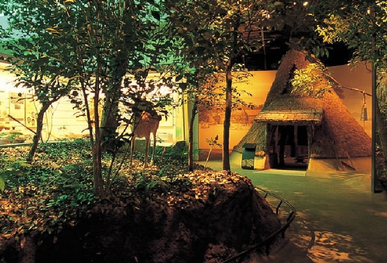 香川県立ミュージアム