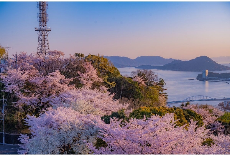 黄金山