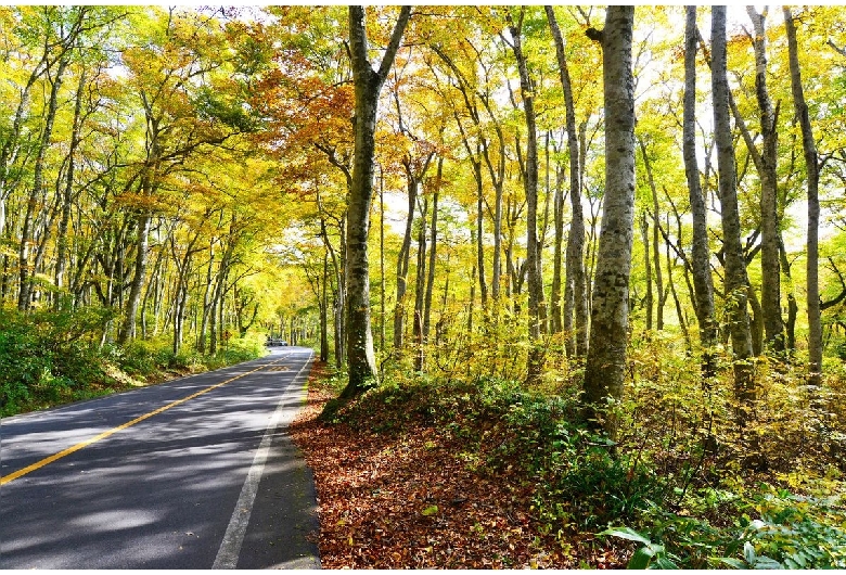 大山環状道路