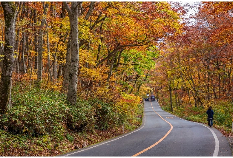 大山環状道路