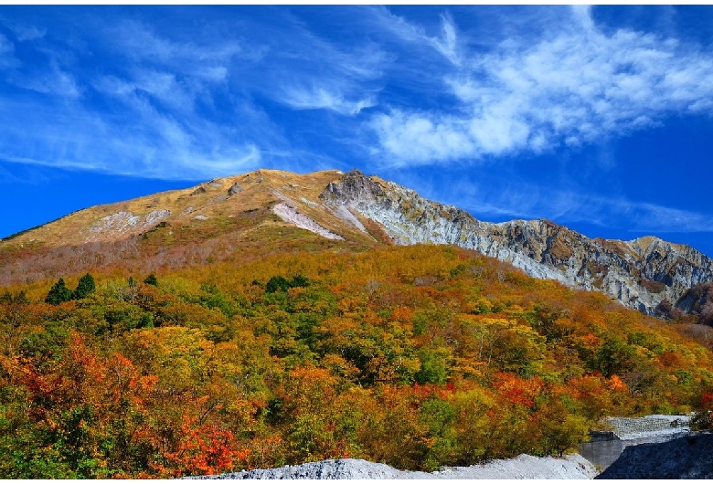 大山環状道路