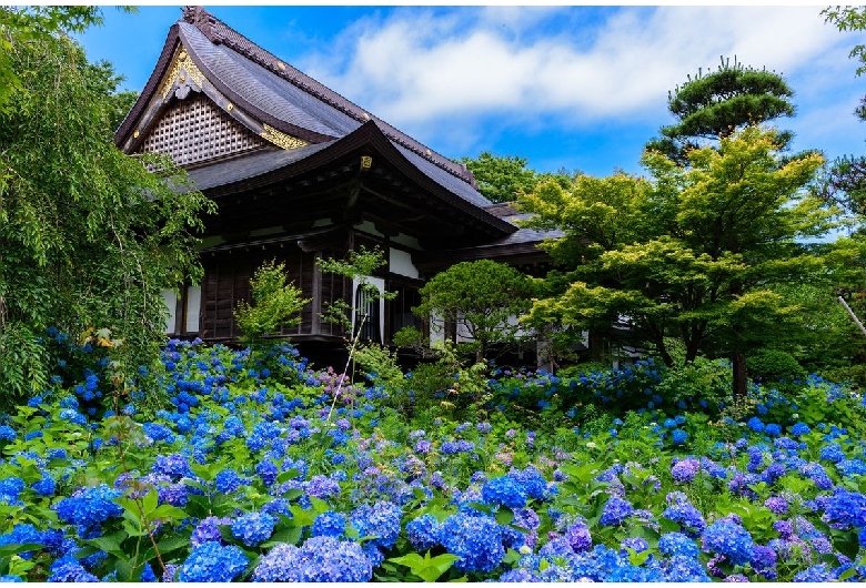 雲昌寺