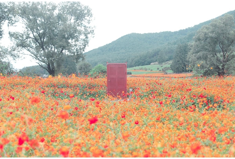 国営アルプスあづみの公園（堀金・穂高地区）