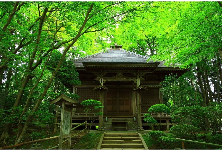 【平泉】中尊寺