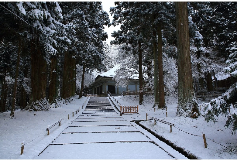 【平泉】中尊寺