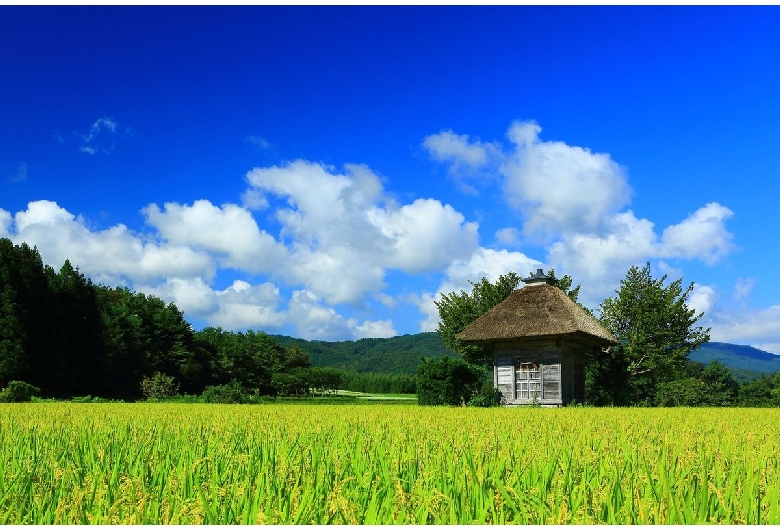 荒神神社