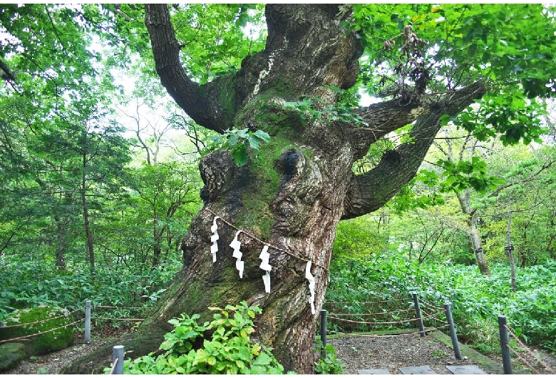 那須温泉