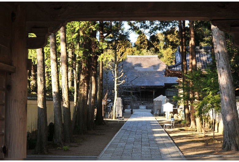 土佐国分寺