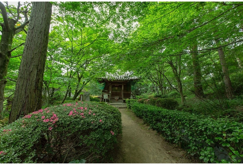 白峯寺