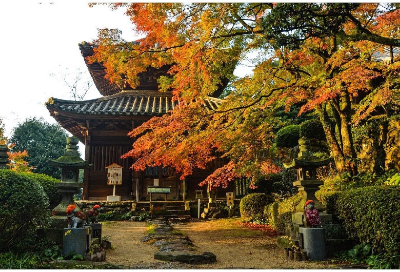 白峯寺