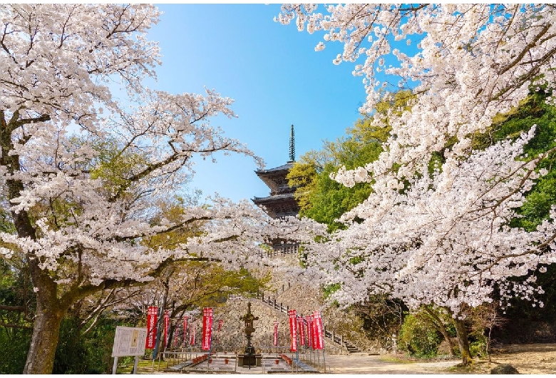 清水寺