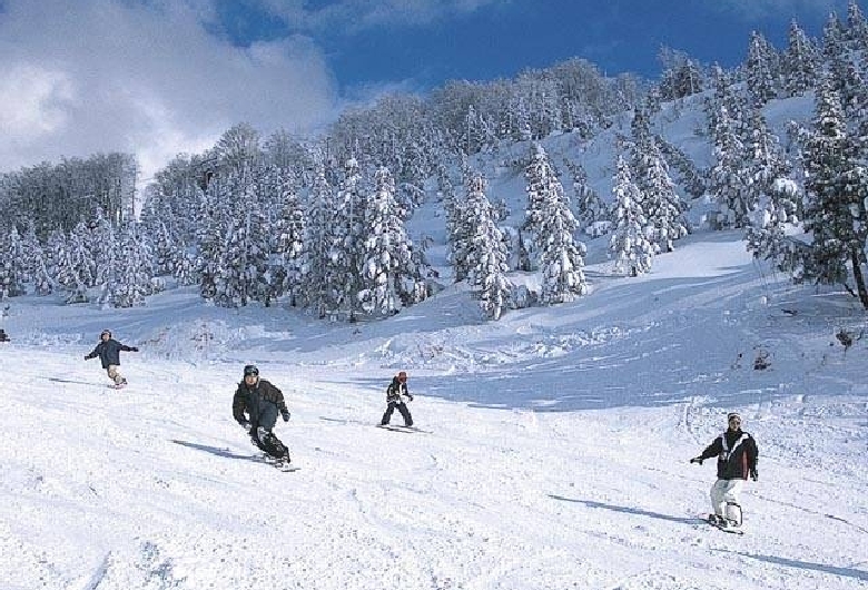 黒伏高原スノーパーク　ジャングル・ジャングル