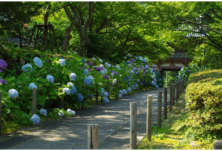 久安寺