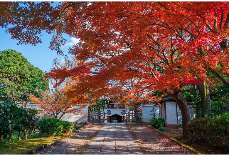 養源院