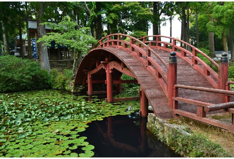 金剛證寺