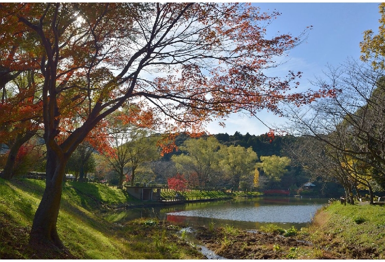 定光寺