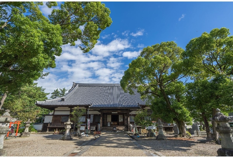 大樹寺