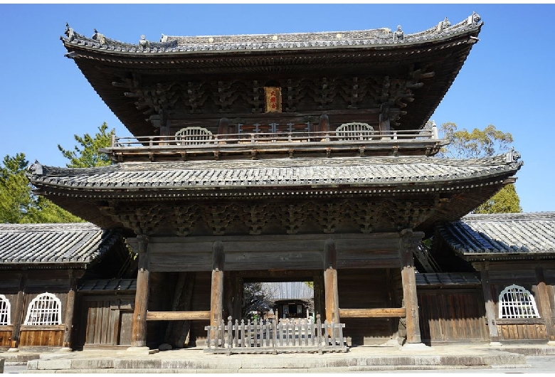 大樹寺