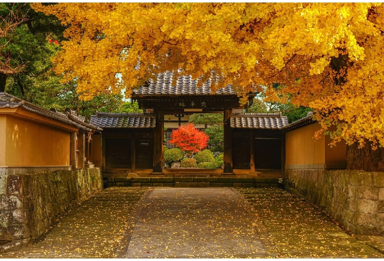 霊山寺