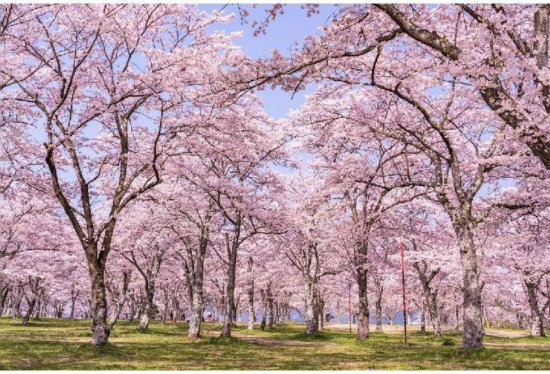 大石寺