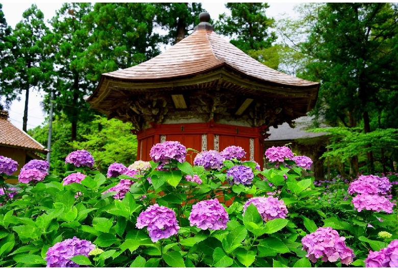 蓮華峰寺