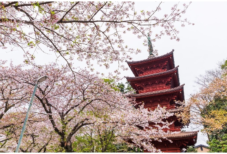 法華経寺（正中山法華経寺）