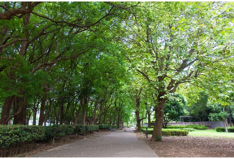 行田公園