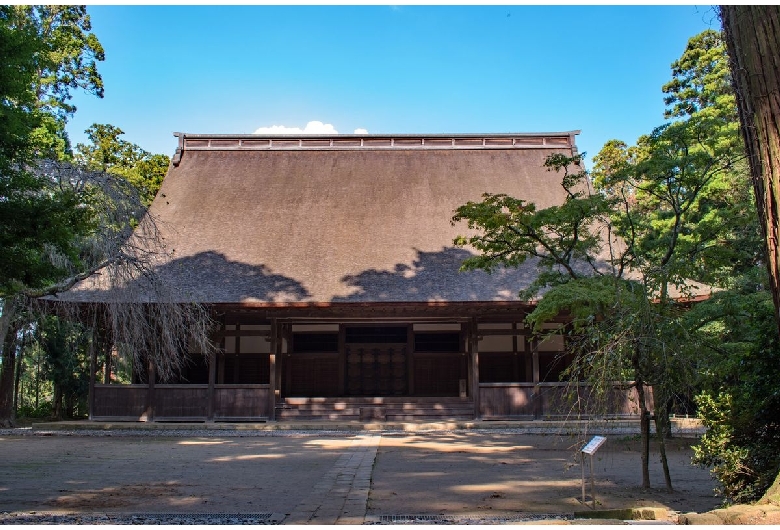 飯高寺