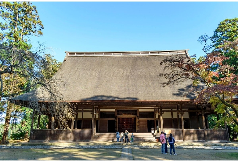 飯高寺