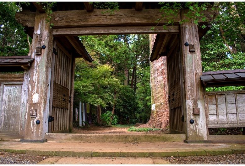 飯高寺